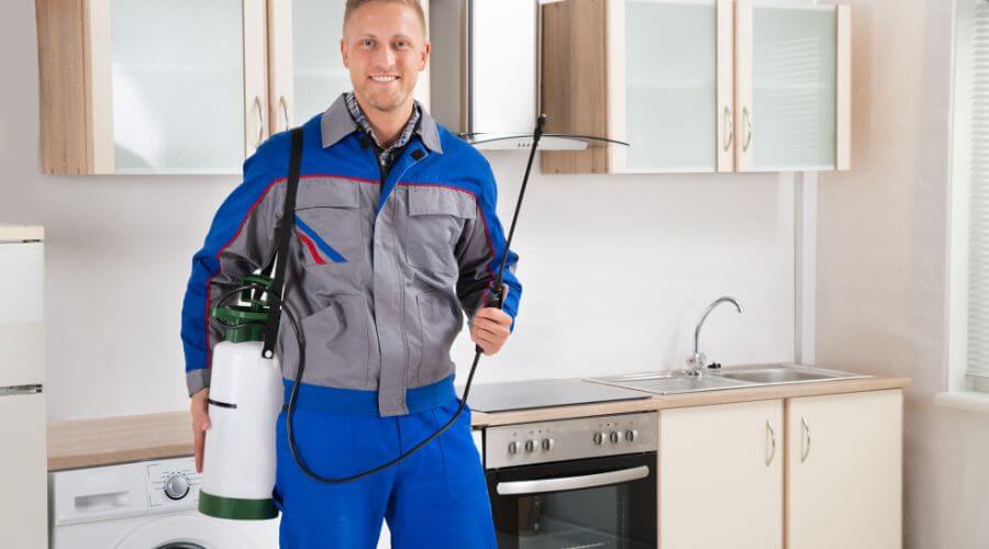 Professional wasp nest removal services in Osceola - Osceola Wasp Nest Removal